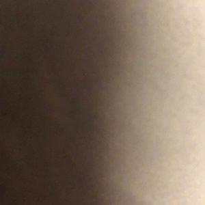 Meet your Posher, Brendan